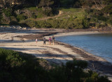 Family on a quiet KI beach