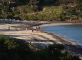 Family on a quiet KI beach 