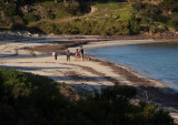 Beach at Kingscote, Kangaroo Island