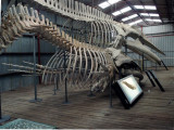 zA092925.JPG