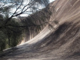 Wave Rock, and casuarinas