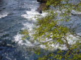 Iguazu Falls – nearly