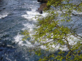 Iguazu Falls  nearly