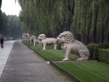 The Sacred Way, near the Ming Tombs