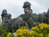 On the hill above the Stone Forest