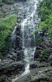 Falls 1, Dorrigo National Park