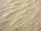 Complex surface pattern on a dry dune