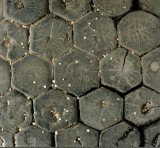 Floor of stables