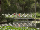 Bridge at the lily pond, Centennial Park