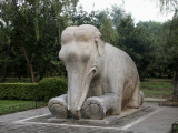 Gentle elephant
