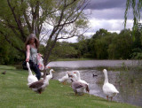 Goose Lady