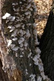 Signs of Spring April 6, 2019