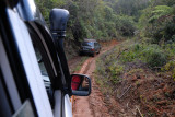 En route vers la Forêt Iaroka