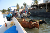 En route pour l'Île Nosy Ve