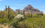 Walcott Peak and Ragged Top Mountain in Ironwood Forest National Monument