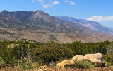 View of the San Jacinto Range from along the Palms to Pines Scenic Byway in Santa Rosa & San Jacinto Mtns NM