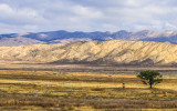 Carrizo Plain National Monument – California