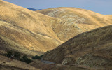 Bitter Creek National Wildlife Refuge California (2019)