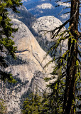 North Dome (7,542 ft.) and Basket Dome (7,612 ft.) as seen from the Pohono Trail in Yosemite National Park