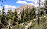 Sentinel Dome (8,100 ft.) from along the Sentinel Dome Trail in Yosemite National Park
