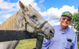 Old Friends Farm – Kentucky (2019)