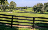 Rolling hills at Taylor Made Farm
