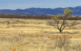 The lower grasslands in Buenos Aires NWR