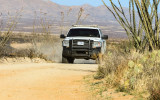 A Border Patrol vehicle on the Pronghorn Loop road in Buenos Aires NWR