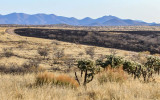 Burned out area along the Pronghorn Loop road in Buenos Aires NWR