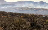 Smoke rises from the prescribed burn in Buenos Aires NWR
