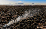 Smoke rises from a hotspot as the prescribed burn rolls on in the distance in Buenos Aires NWR