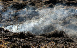 Smoke drifts skyward from a hotspot in Buenos Aires NWR