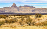 Buenos Aires National Wildlife Refuge Arizona (2021)