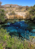 Ash Meadows National Wildlife Refuge Nevada (2021)