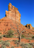 A dead tree framed by Stagecoach Rock in Valley of the Gods