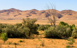 View of the Saddle Mountains from the Wahluke Unit (East) in Hanford Reach National Monument