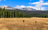 Park Rangers gather data on the Tuolumne Meadows in Yosemite National Park