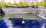 A white rose placed on the South Pool memorial on the 9/11 Memorial Grounds
