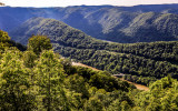 Stretcher Neck (1978 ft) viewed from the Turkey Spur Overlook in New River Gorge National Park