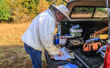 Mike checks his notes from the back of his truck before working his hives