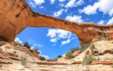 Natural Bridges NM - Utah (2008 & 2021)