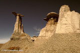 Two Days in New Mexico 2019