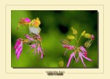 Urdanibia 2020 IRUN Spain