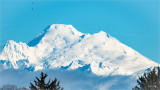 Mt. Baker,  Whatcom County, WA