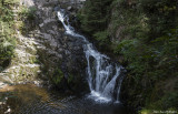 Cascades