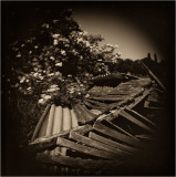 Holga 120 GN