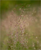 Photo-A-Day
