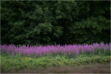 A small selection of my best images