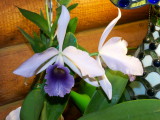 LC C. G. Roebling 'Sentinel'