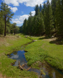 Moglllon Rom : Quiet behind Willow Springs